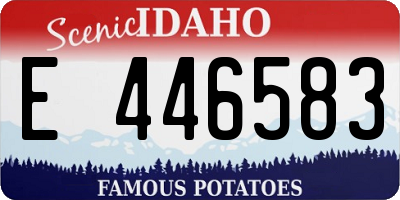 ID license plate E446583