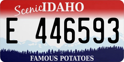 ID license plate E446593