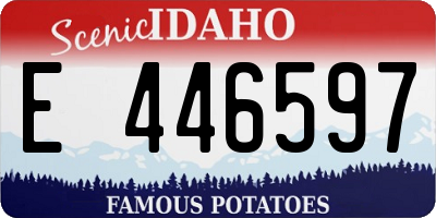ID license plate E446597