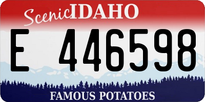 ID license plate E446598
