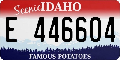 ID license plate E446604