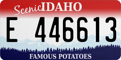 ID license plate E446613