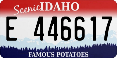 ID license plate E446617