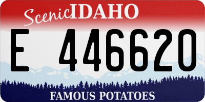 ID license plate E446620