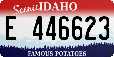 ID license plate E446623
