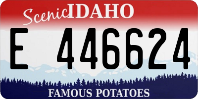 ID license plate E446624