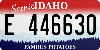 ID license plate E446630