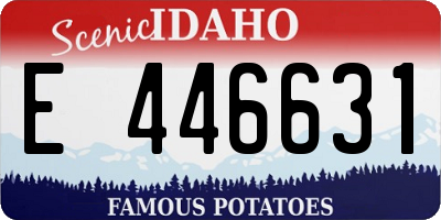 ID license plate E446631