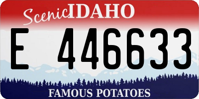 ID license plate E446633