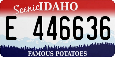 ID license plate E446636