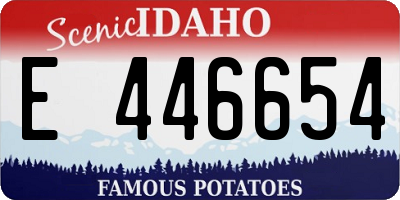 ID license plate E446654