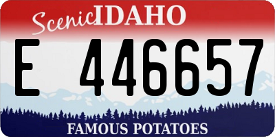 ID license plate E446657