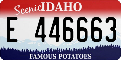 ID license plate E446663