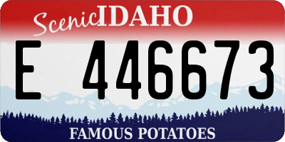 ID license plate E446673