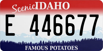 ID license plate E446677