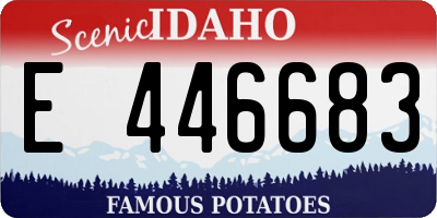 ID license plate E446683