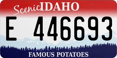 ID license plate E446693