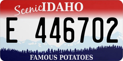 ID license plate E446702