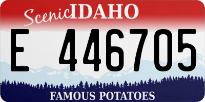ID license plate E446705