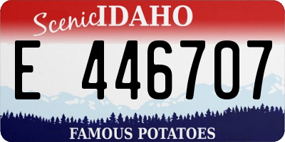 ID license plate E446707