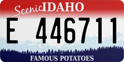 ID license plate E446711