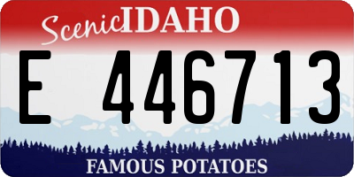ID license plate E446713