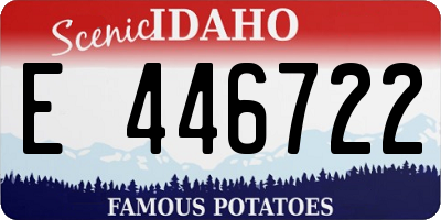 ID license plate E446722