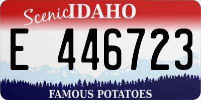 ID license plate E446723