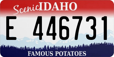 ID license plate E446731