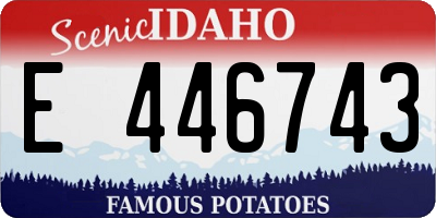 ID license plate E446743
