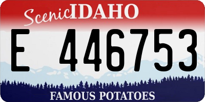 ID license plate E446753