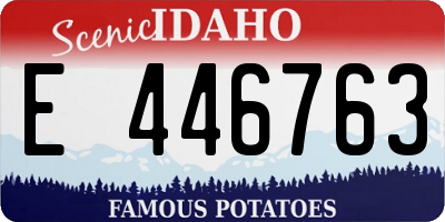 ID license plate E446763
