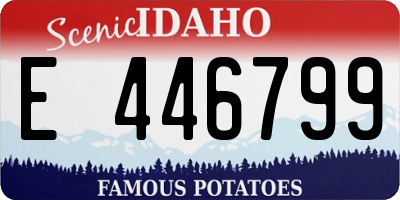 ID license plate E446799