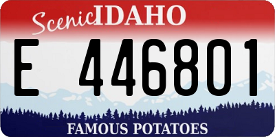 ID license plate E446801