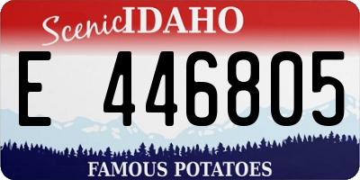 ID license plate E446805