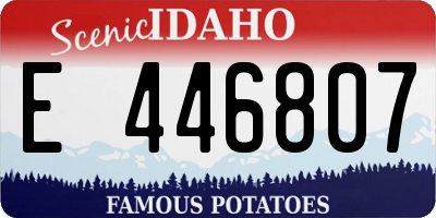 ID license plate E446807