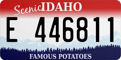 ID license plate E446811