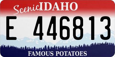 ID license plate E446813