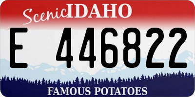 ID license plate E446822