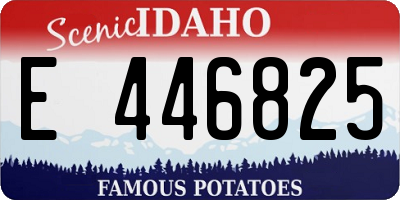 ID license plate E446825