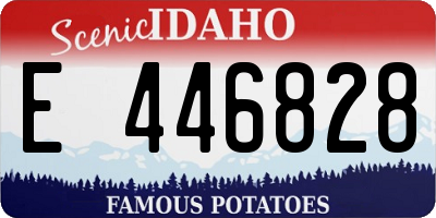 ID license plate E446828
