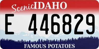 ID license plate E446829