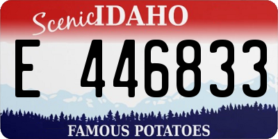 ID license plate E446833