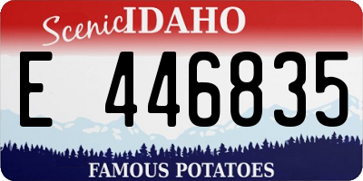 ID license plate E446835
