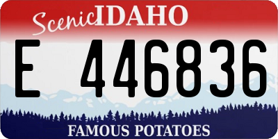 ID license plate E446836