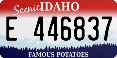 ID license plate E446837