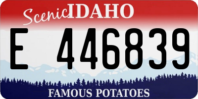 ID license plate E446839