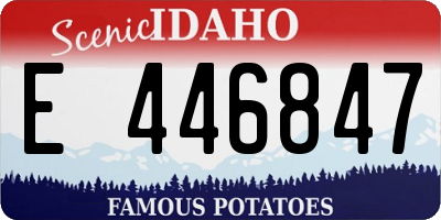 ID license plate E446847