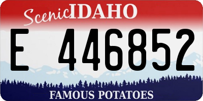 ID license plate E446852