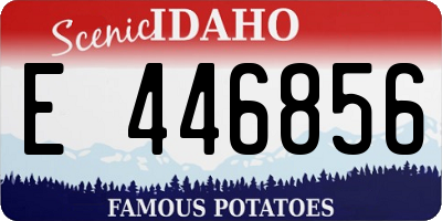 ID license plate E446856